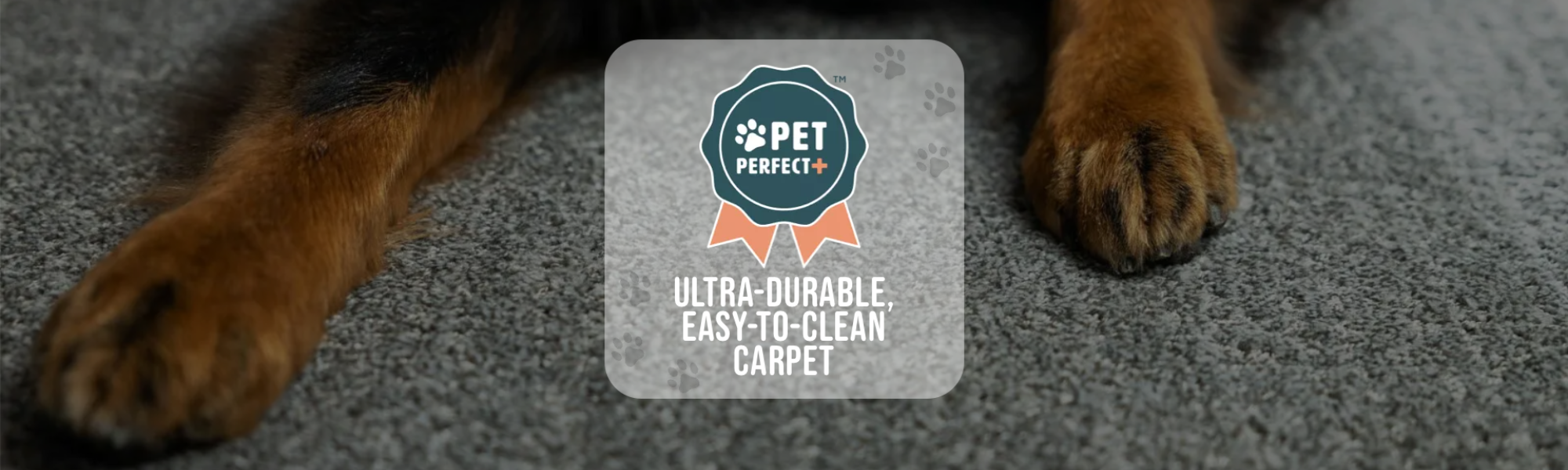 Pet-Perfect-Banner-2000x600