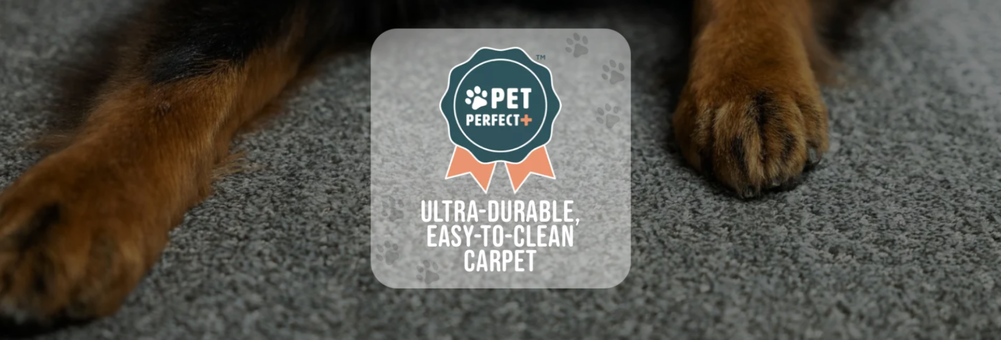 Pet-Perfect-Banner-2000x600