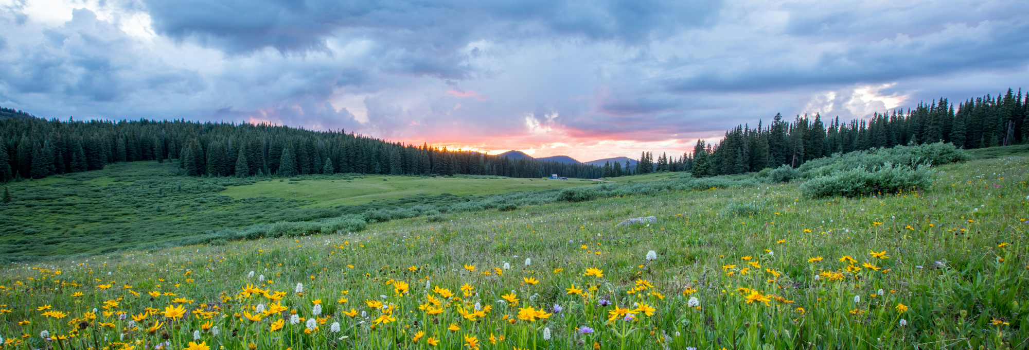 Spring-Field-Image-Hero-Banner-2000x680