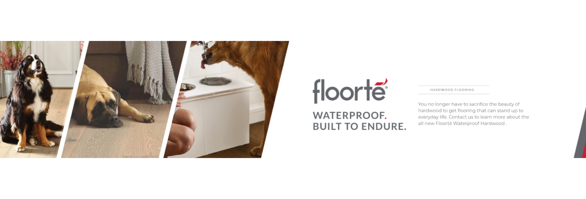 floorte-Waterproof-flooring-hero-banner-2000x680